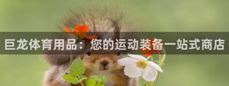 欧陆娱乐登录平台有哪些：巨龙体育用品：您的运动装备一