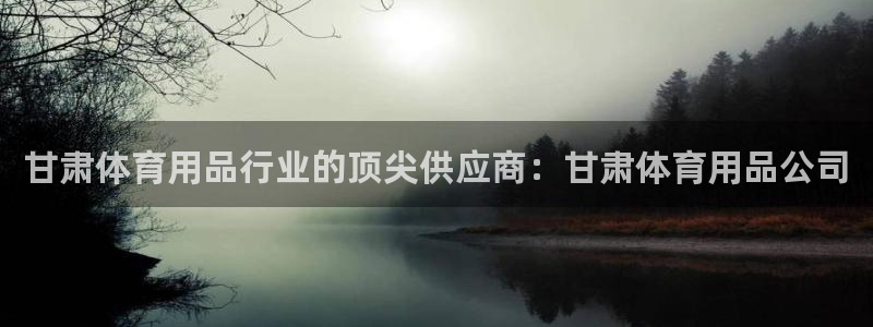 欧陆娱乐平台登录不上去了：甘肃体育用品行业的顶尖供应