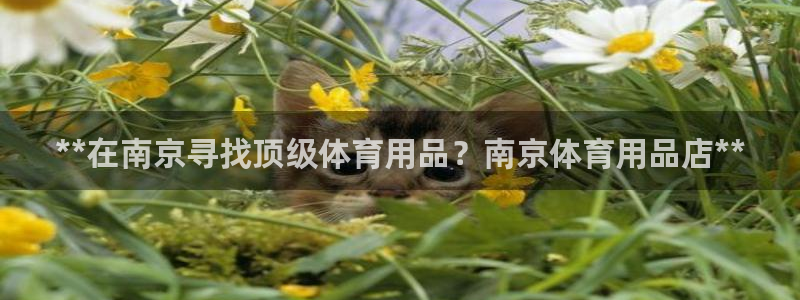 欧陆公司在哪里：**在南京寻找顶级体育用品？南京体育