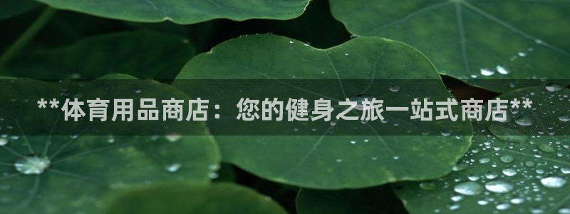 欧陆娱乐注册代理多少钱一个月：**体育用品商店：您的