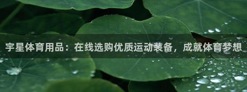 重庆欧陆娱乐有限公司地址：宇星体育用品：在线选购优质