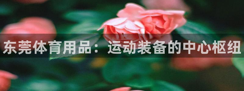 欧陆娱乐信誉吗：东莞体育用品：运动装备的中心枢纽