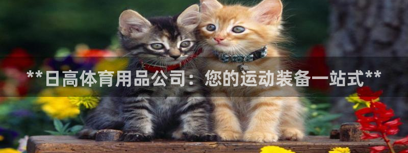 欧陆娱乐试玩官网：**日高体育用品公司：您的运动装备