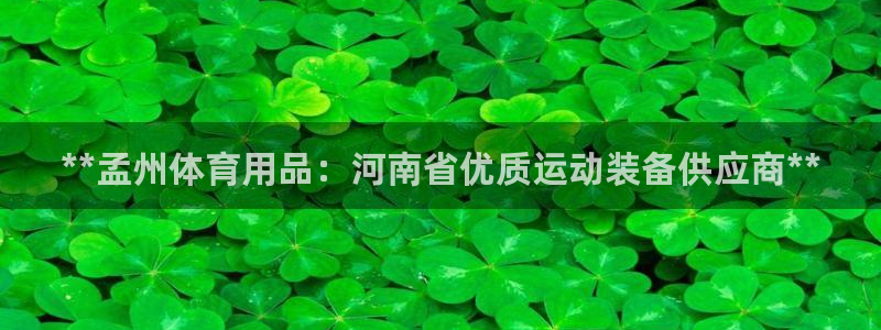 欧陆娱乐共创美好时刻：**孟州体育用品：河南省优质运