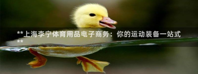 欧陆娱乐官网首页入口：**上海李宁体育用品电子商务：