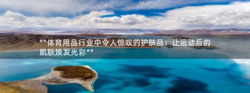 欧陆娱乐脚本怎么下载：**体育用品行业中令人惊叹的护
