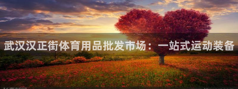 欧陆娱乐能提现嘛是真的吗：武汉汉正街体育用品批发市场