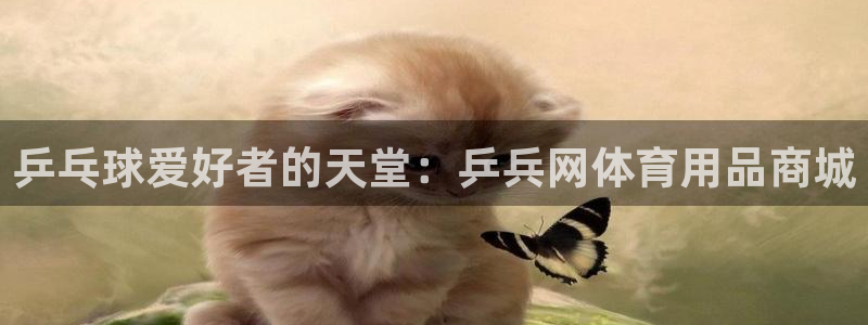 欧陆娱乐平台登录不上去怎么回事：乒乓球爱好者的天堂：