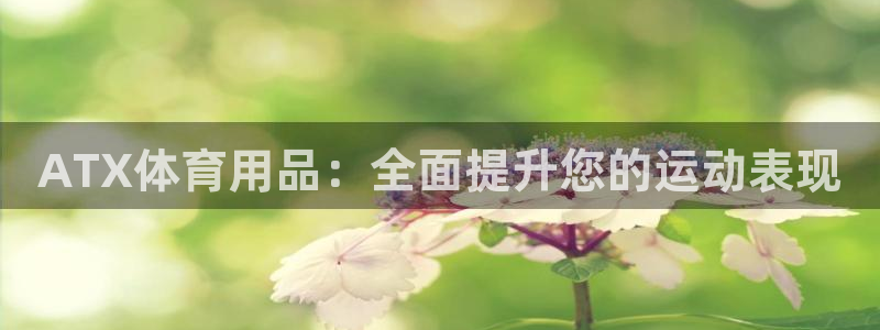 欧陆娱乐登陆官网：ATX体育用品：全面提升您的运动表