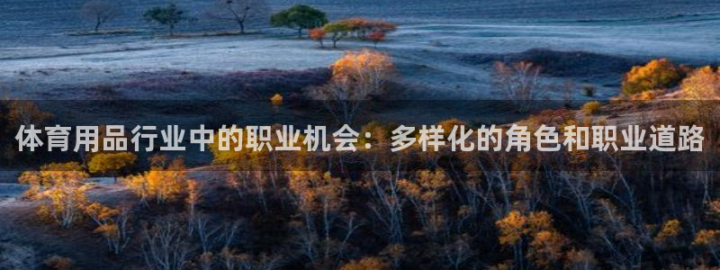 欧陆游戏平台：体育用品行业中的职业机会：多样化的角色
