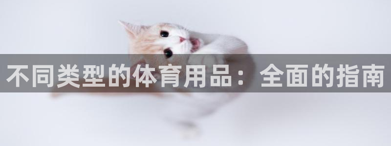 欧陆娱乐脚本怎么用：不同类型的体育用品：全面的指南