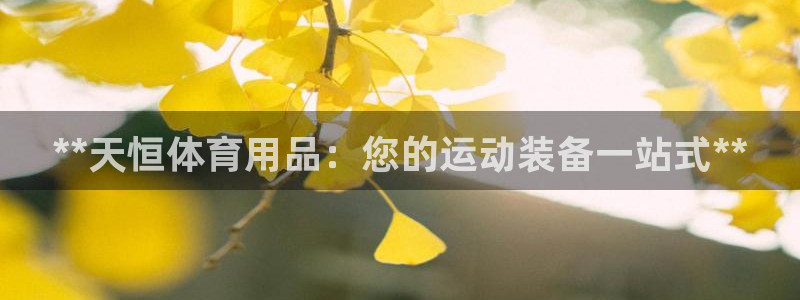 欧陆娱乐打什么方案：**天恒体育用品：您的运动装备一