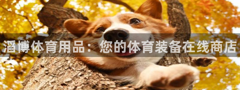 欧陆娱乐招商主管：滔博体育用品：您的体育装备在线商店