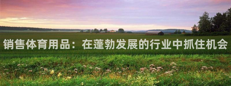 欧陆娱乐怎么注册账号：销售体育用品：在蓬勃发展的行业