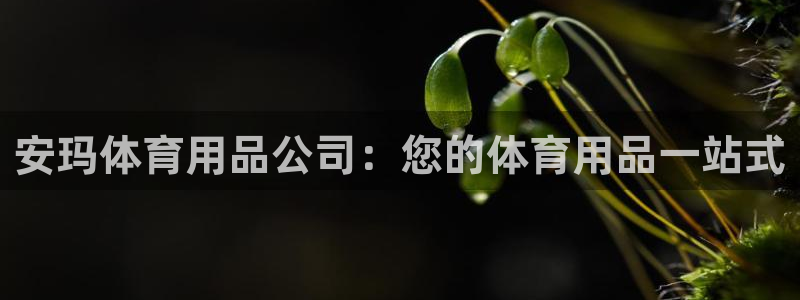 欧陆娱乐登陆官网下载：安玛体育用品公司：您的体育用品
