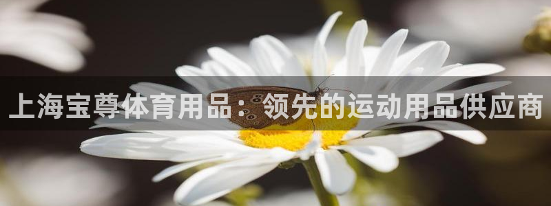 欧陆娱乐登录官网：上海宝尊体育用品：领先的运动用品供
