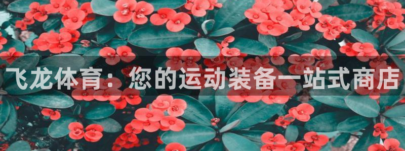 欧陆娱乐有限公司：飞龙体育：您的运动装备一站式商店