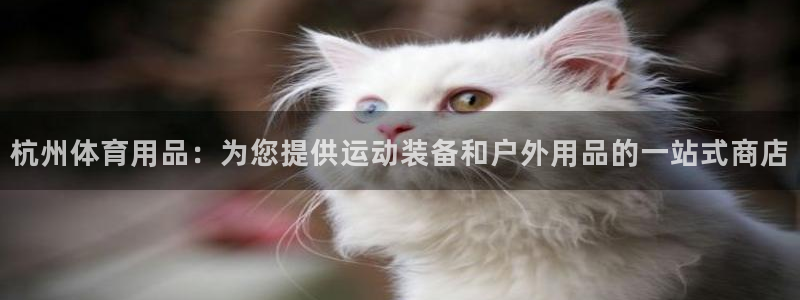 欧陆娱乐登录注册平台：杭州体育用品：为您提供运动装备