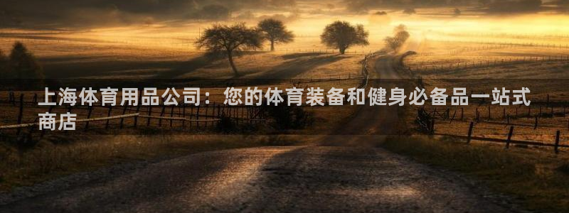 欧陆娱乐官方网站首页：上海体育用品公司：您的体育装备