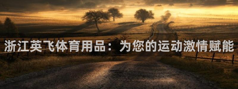 欧陆娱乐有限公司招聘：浙江英飞体育用品：为您的运动激