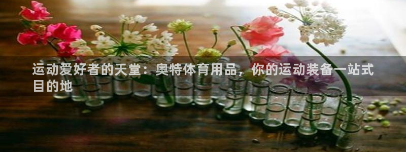 欧陆娱乐app攻略：运动爱好者的天堂：奥特体育用品，