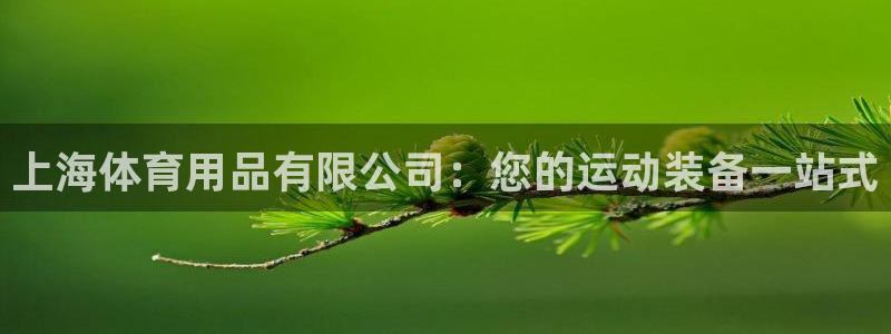 欧陆娱乐平台登录不上：上海体育用品有限公司：您的运动