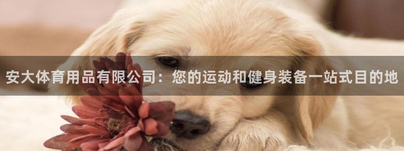 欧陆娱乐是正规吗?：安大体育用品有限公司：您的运动和