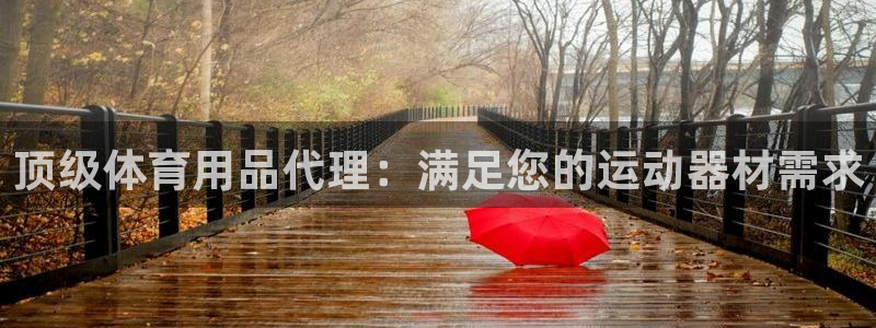 欧陆娱乐访问：顶级体育用品代理：满足您的运动器材需求