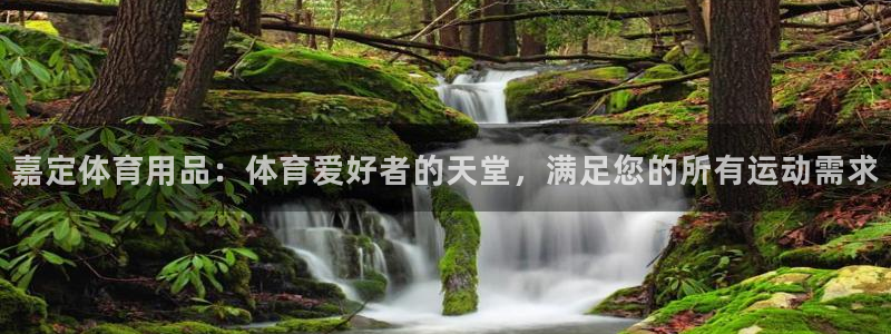 欧陆娱乐合法吗：嘉定体育用品：体育爱好者的天堂，满足