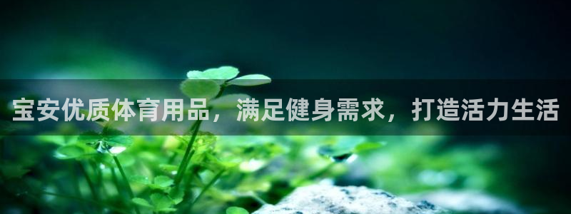 欧陆娱乐是真的假的：宝安优质体育用品，满足健身需求，