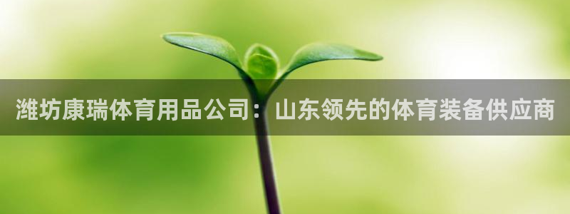 欧陆娱乐注册代理多少钱啊：潍坊康瑞体育用品公司：山东