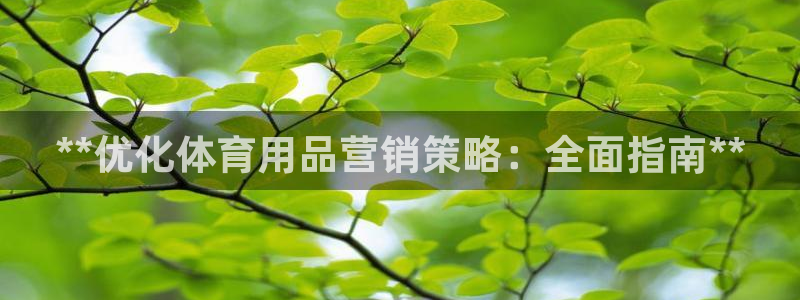 欧陆娱乐平台登录不上：**优化体育用品营销策略：全面