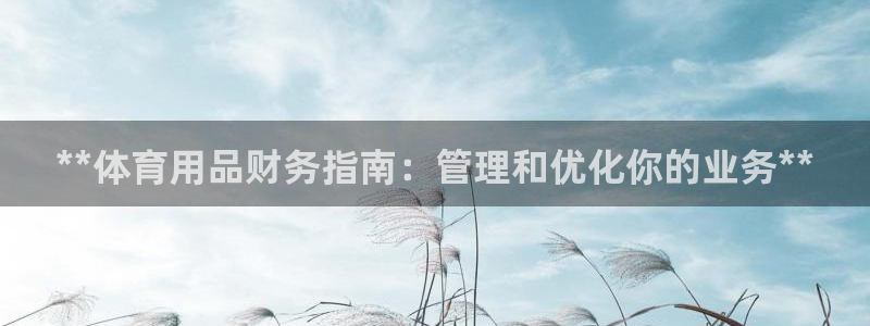 欧陆论坛：**体育用品财务指南：管理和优化你的业务*