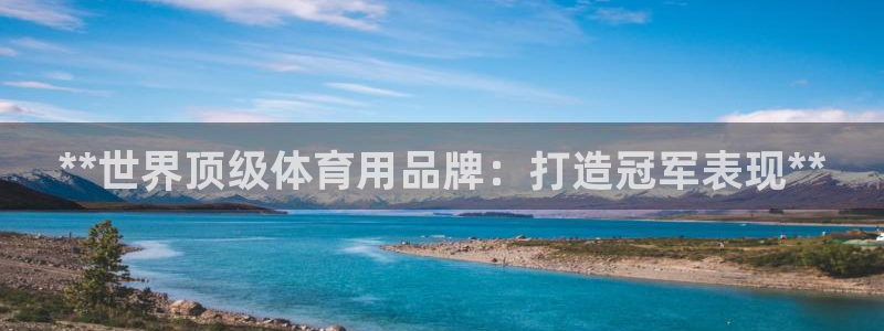 欧陆娱乐脚本怎么下载：**世界顶级体育用品牌：打造冠