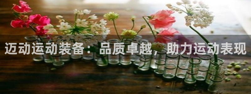 欧陆娱乐试玩官网：迈动运动装备：品质卓越，助力运动表