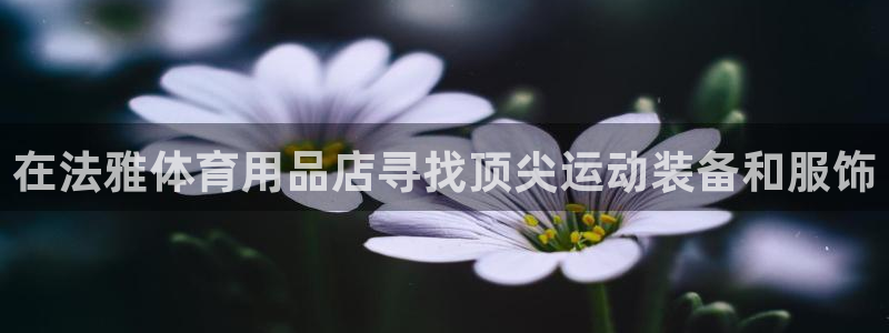 欧陆娱乐有限公司官网：在法雅体育用品店寻找顶尖运动装