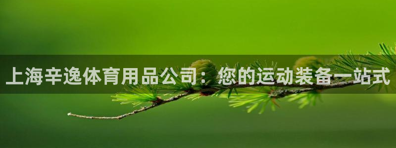 欧陆娱乐天富主管：上海辛逸体育用品公司：您的运动装备