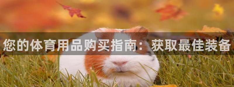 欧陆娱乐注册代理多少钱：您的体育用品购买指南：获取最