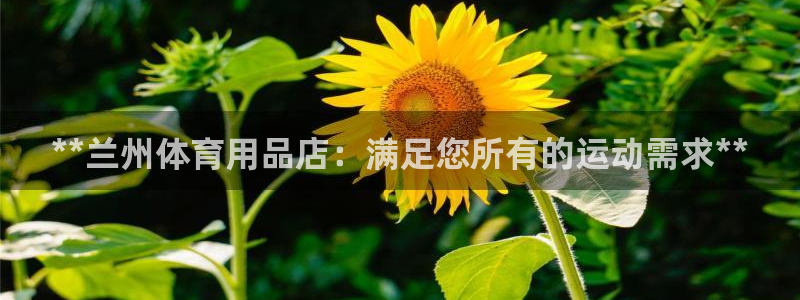 欧陆娱乐官网：**兰州体育用品店：满足您所有的运动需