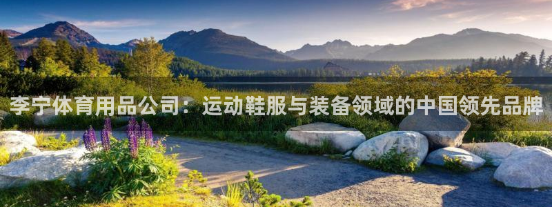 欧陆娱乐app下载：李宁体育用品公司：运动鞋服与装备