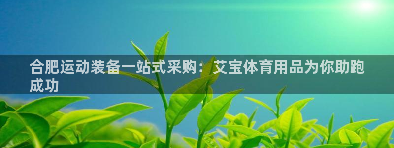 欧陆娱乐怎么注册账号登录：合肥运动装备一站式采购：艾