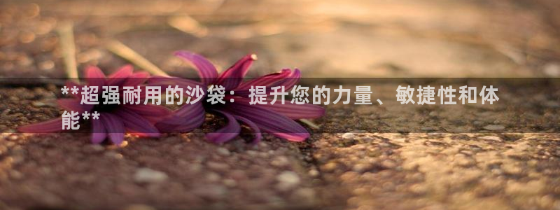 欧陆娱乐计划预测软件：**超强耐用的沙袋：提升您的力