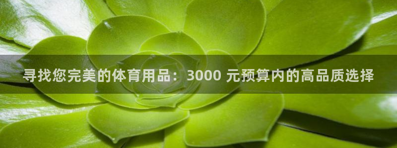 欧陆娱乐登陆官网下载：寻找您完美的体育用品：3000