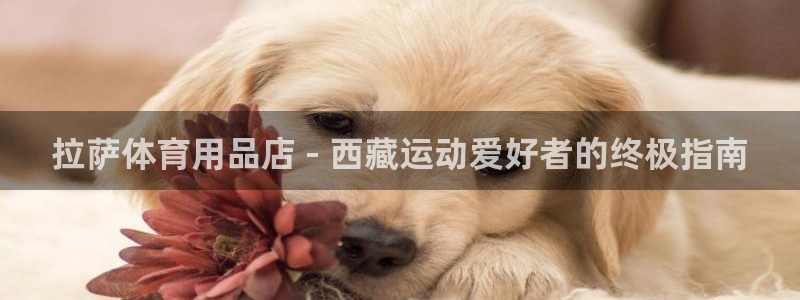 欧陆娱乐官网入口下载：拉萨体育用品店 - 西藏运动爱