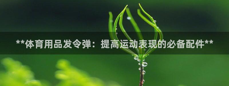 欧陆娱乐app攻略大全：**体育用品发令弹：提高运动