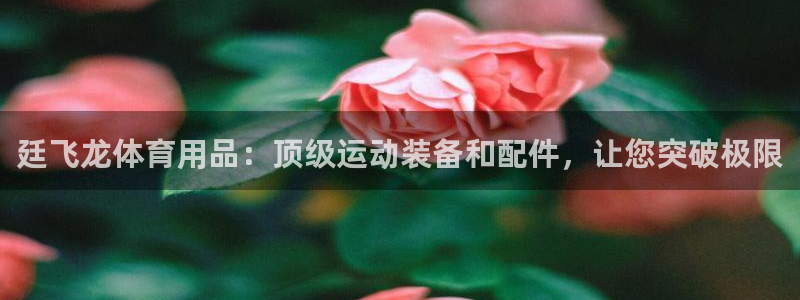 欧陆娱乐有限公司官网：廷飞龙体育用品：顶级运动装备和