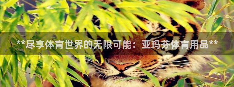 欧陆娱乐官方网站下载：**尽享体育世界的无限可能：亚