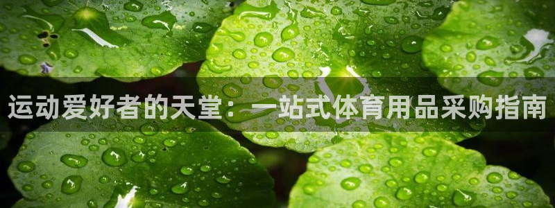 欧陆娱乐是正规平台吗安全吗可信吗是真的吗：运动爱好者
