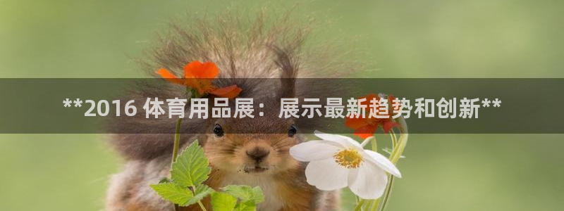 欧陆娱乐测试：**2016 体育用品展：展示最新趋势