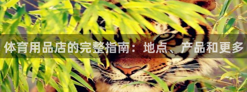 欧陆娱乐会员有什么用：体育用品店的完整指南：地点、产